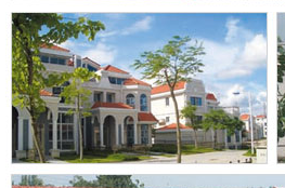 塑料护坡模具销售价格及厂家概述——以河北清苑县国通模具厂为例